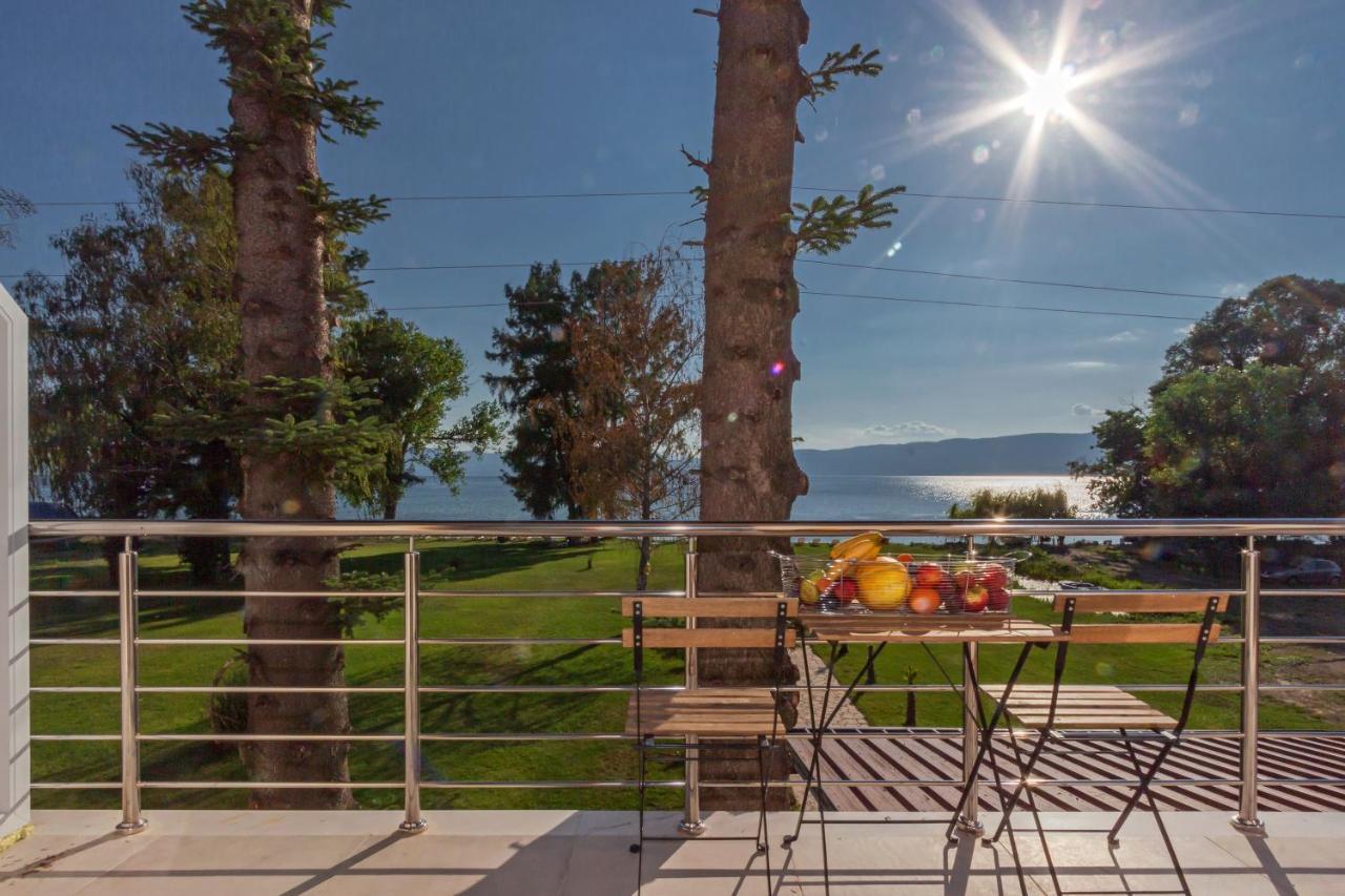 Green Space Hotel Ohrid Exterior photo